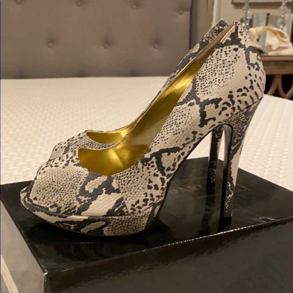 Colin Stuart heels